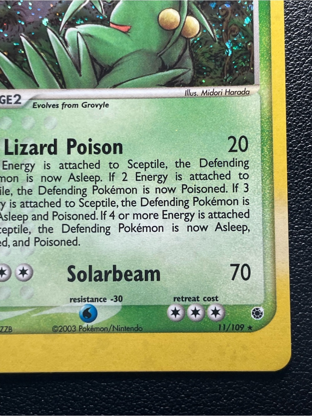 Sceptile #11/Holo/Pokemon Ruby & Sapphire - Picture 5 of 15